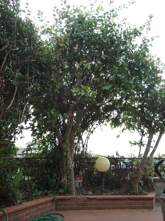 Appartamento Mare 勒托阳尼 外观 照片